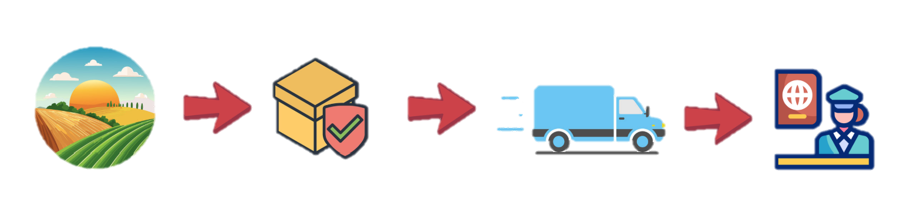 Diagrama de Seguridad Alimentaria